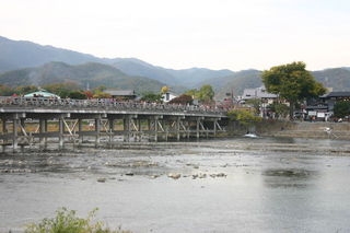 2965161_2121165228_138large.jpg
