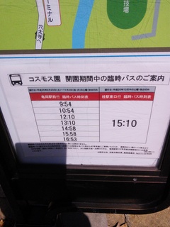 IMG_20141019_103911.jpg