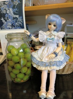 IMG_20150531_091003.jpg