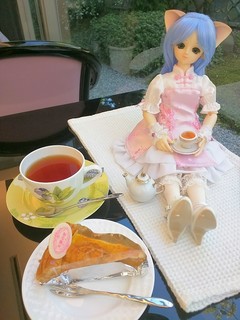IMG_20150920_150510.jpg