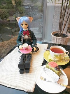 IMG_20160117_150343.jpg