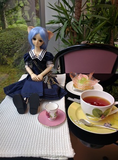 IMG_20160703_153732.jpg