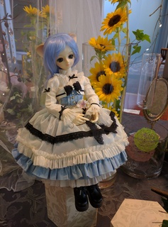 IMG_20160820_154847.jpg