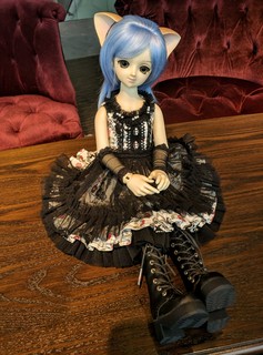 IMG_20160922_153504.jpg