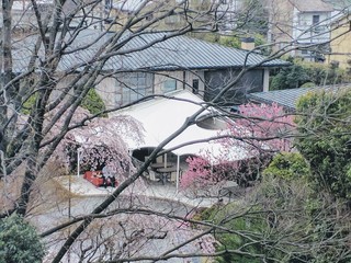 IMG_20170409_131721.jpg
