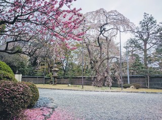IMG_20170409_140048.jpg
