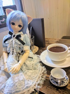 IMG_20170810_121134.jpg