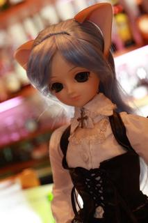 dollbar.jpeg