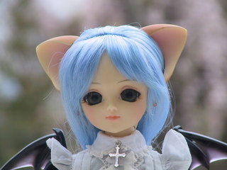 img_1335.jpg