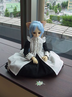 img_1506.jpg
