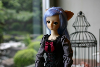 img_7776.jpg