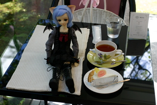 img_7805.jpg