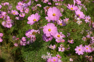 img_8374.jpg