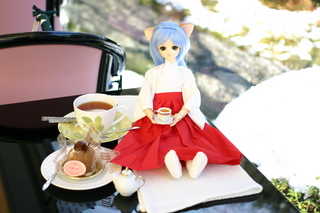 img_9811.jpg