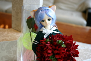 img_9907.jpg